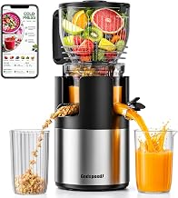 Best Cold Press Juicers for Daily Green Juice