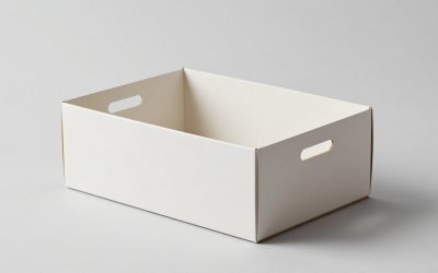 Best Dough Proofing Boxes for Home Baking