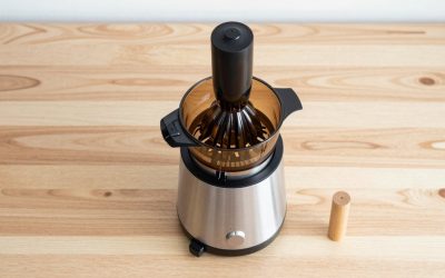 Best Juicers: Cold Press, Slow Masticating and Centrifugal Models Compared